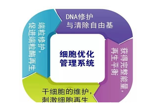 干细胞&mdash;健康的万能钥匙